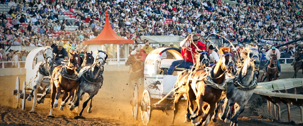 Photo Credit: Mike Ridewood